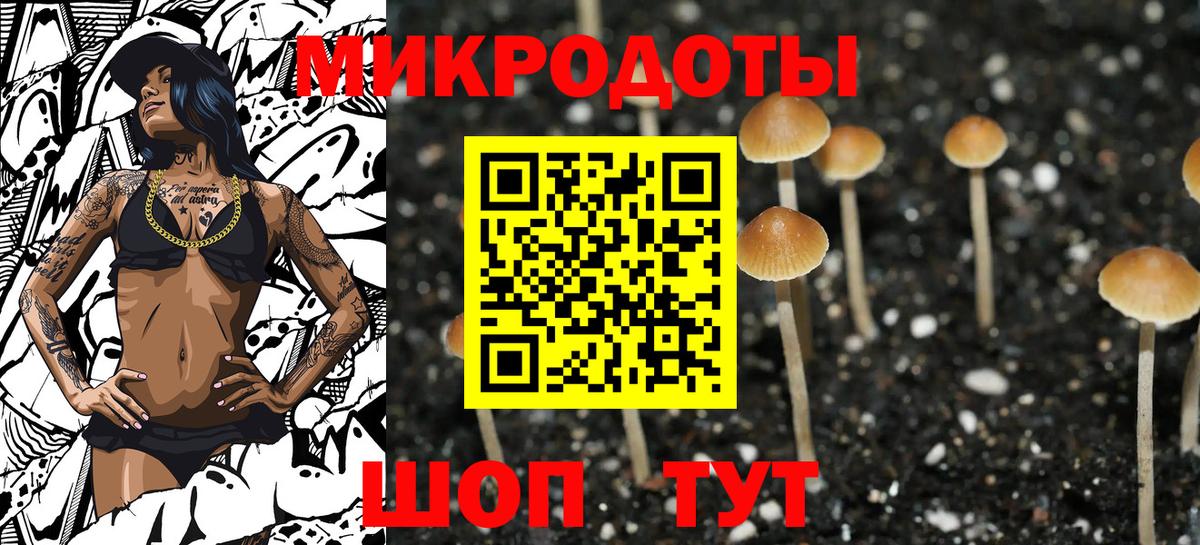 Галлюциногенные грибы Psilocybe  Вход с VPN  Псилоцибиновые грибы GOLDEN TEACHER  Янаул 